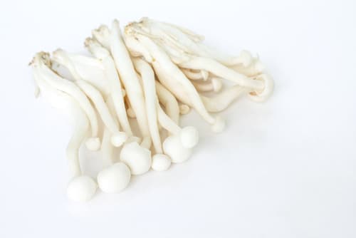 MUSHROOM WHITE SHIMIJI X150G