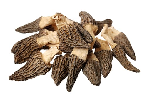 MUSHROOM MOREL DRIED X500G