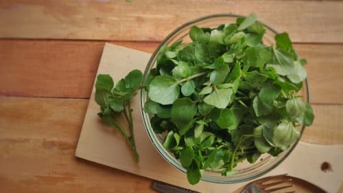 MICRO WATERCRESS