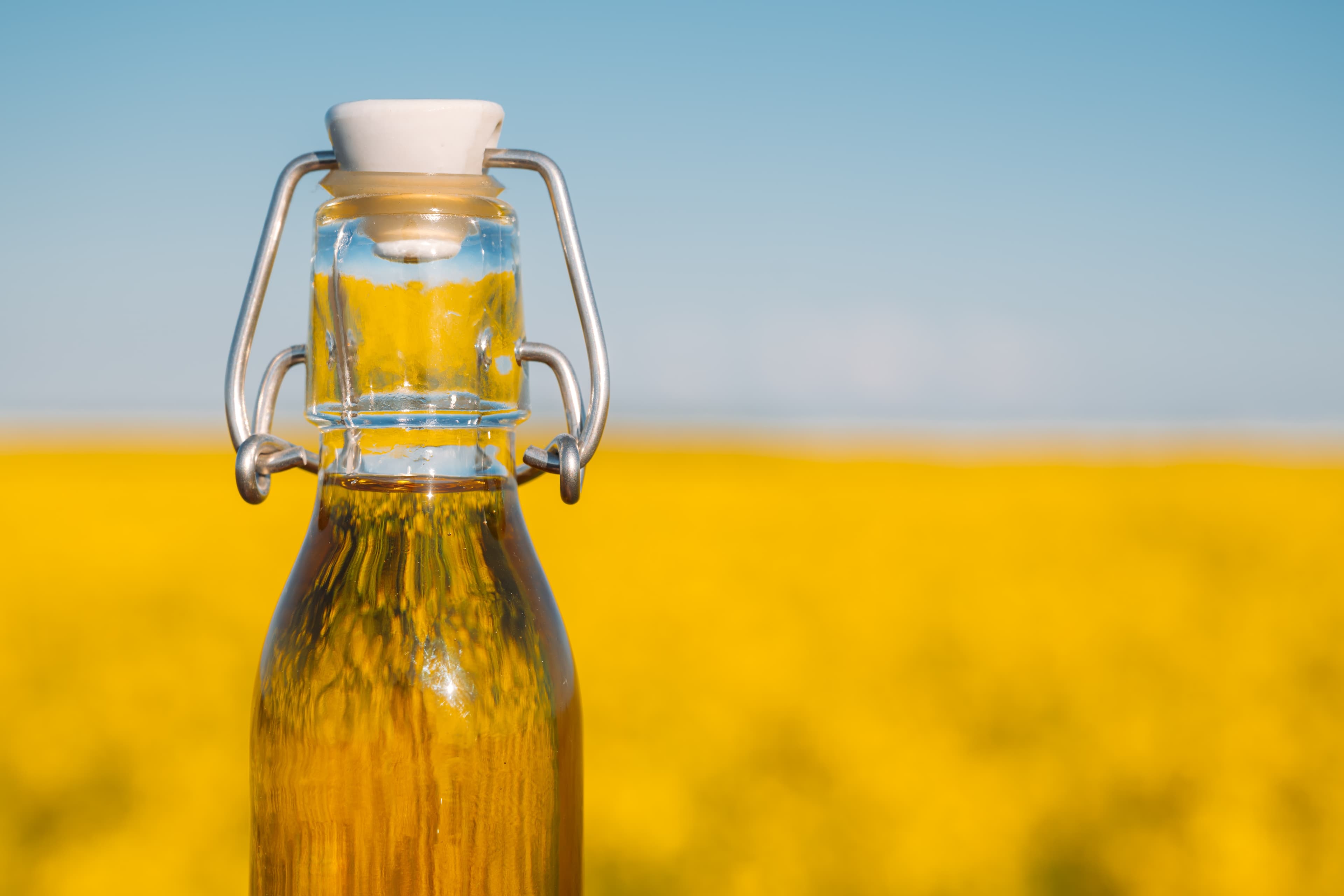 CANOLA OIL COOKING SPRAY X2