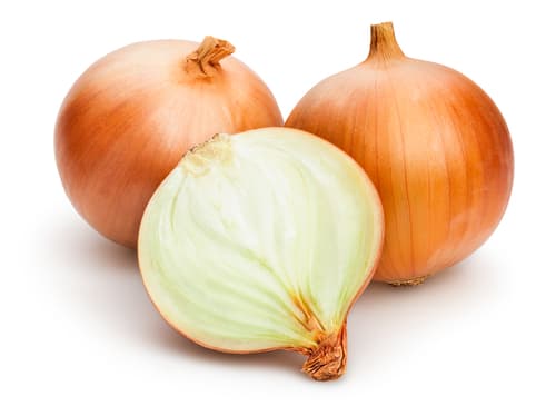 ONION SPANISH