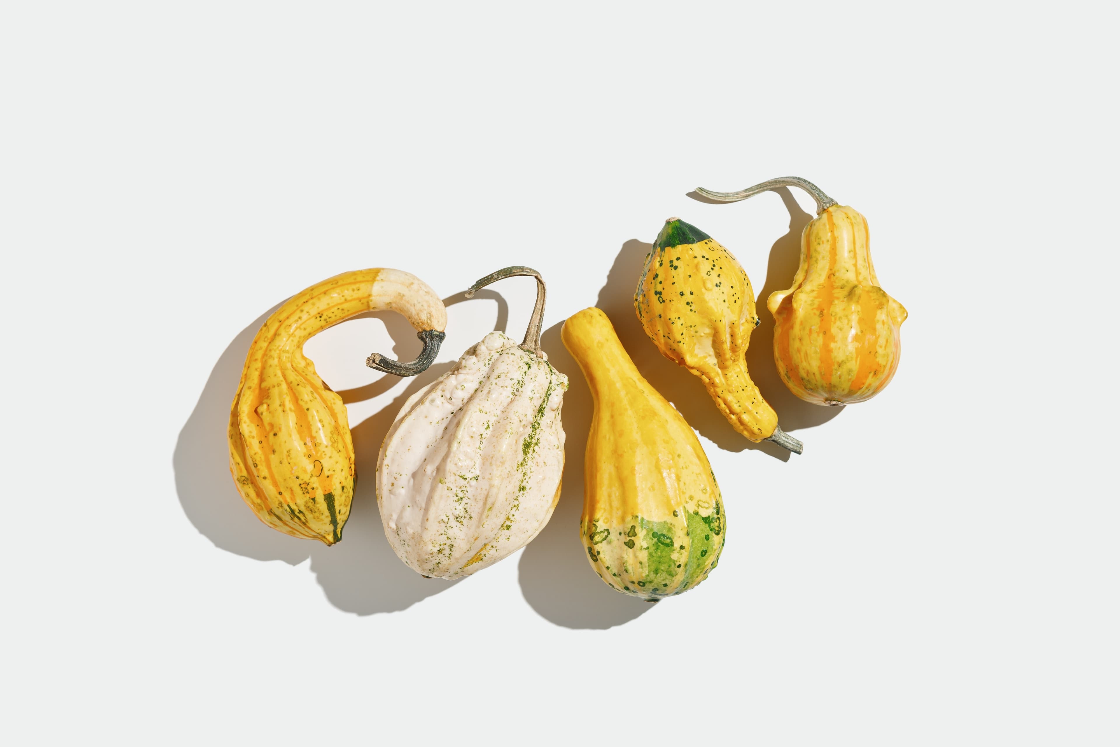 ORNAMENTAL GOURDS (BOX)