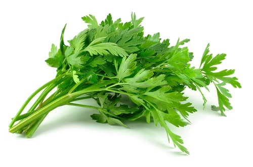 PARSLEY FLAT BUNCH