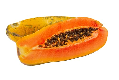 PAW PAW FORMOSA