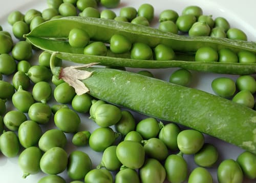 PEAS FRESH ENGLISH