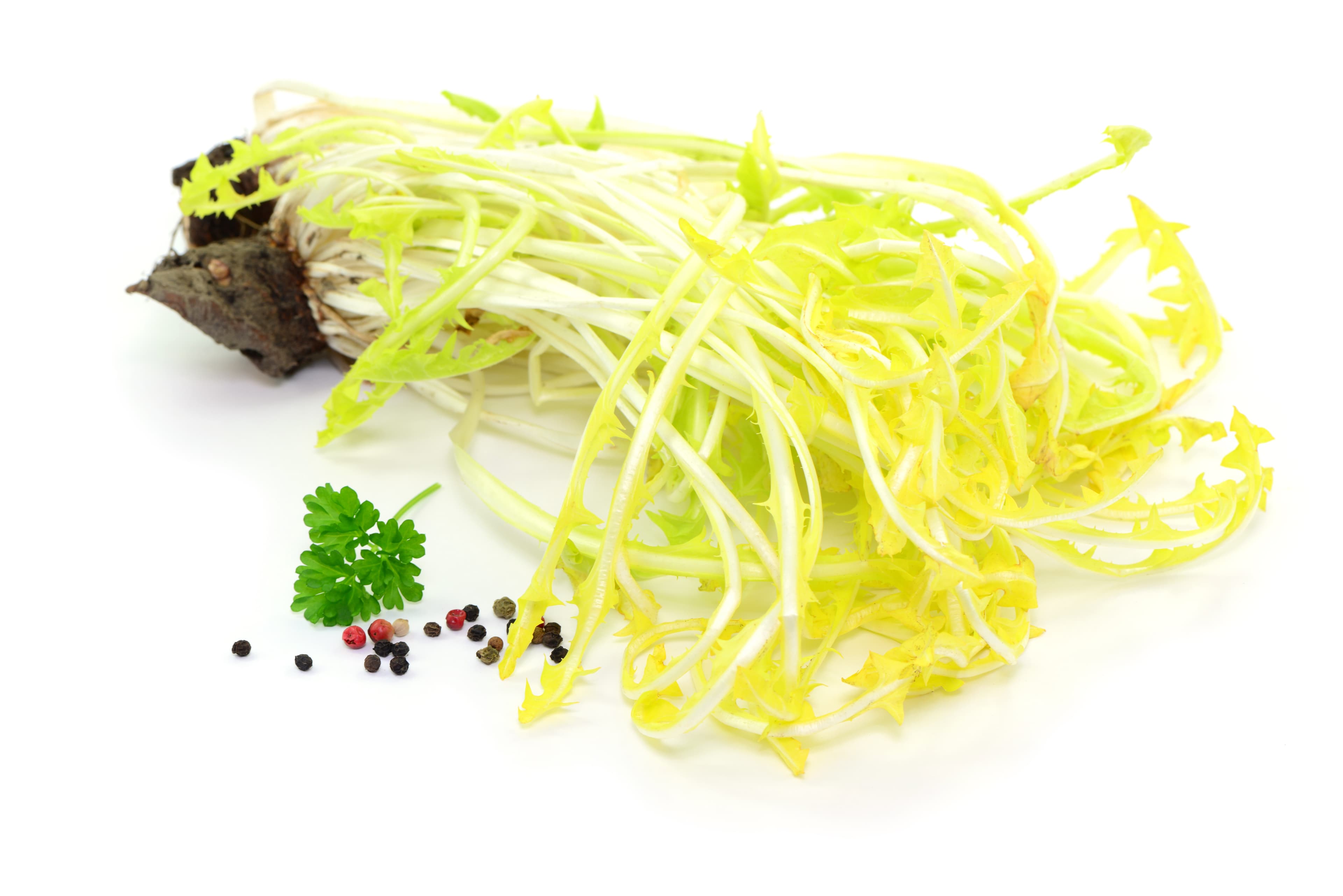 PISSENLIT (DANDELION) 1.36KG