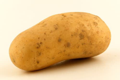BELLE DE FONTENAY POTATO