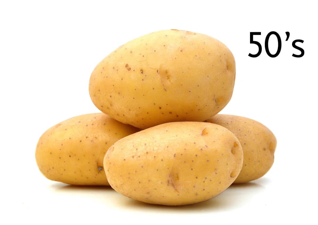 POTATOES JACKET 50'S