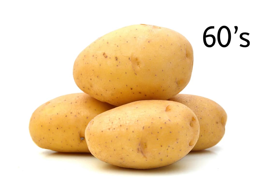 POTATOES JACKET 60's