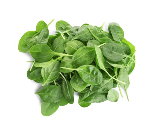 POUSSE (BABY SPINACH)