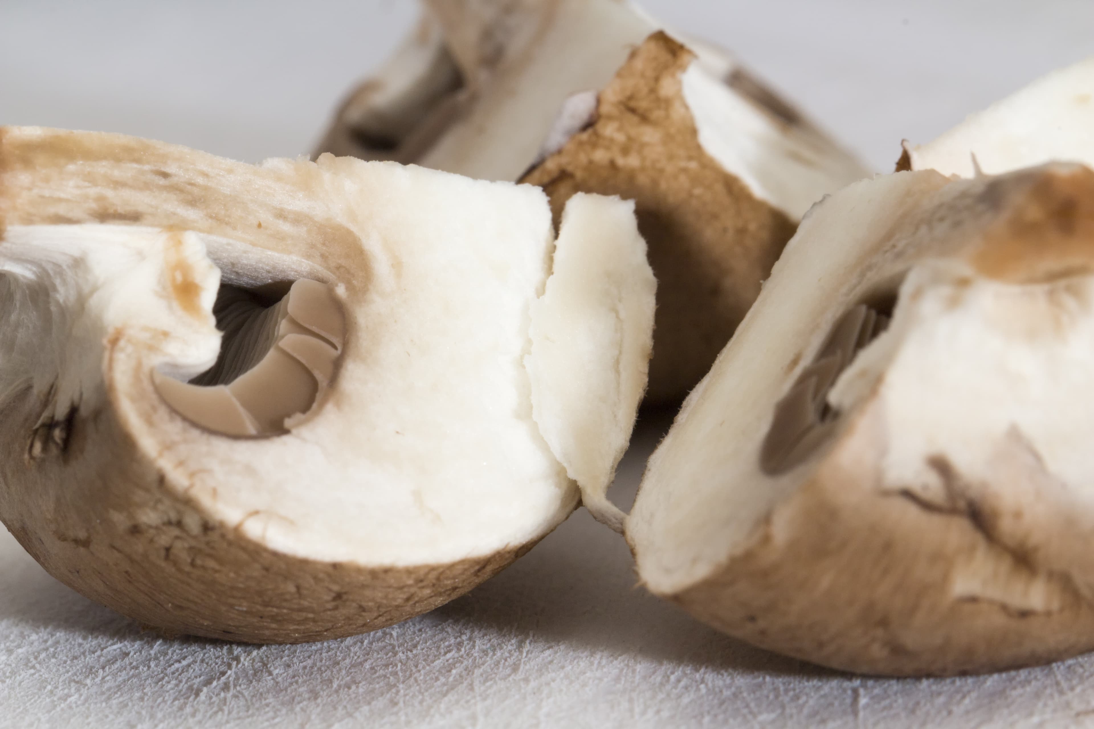 PREP MUSHROOM PARIS BROWN QUARTERED