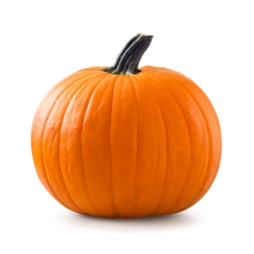 PUMPKIN HALLOWEEN MED-LRG