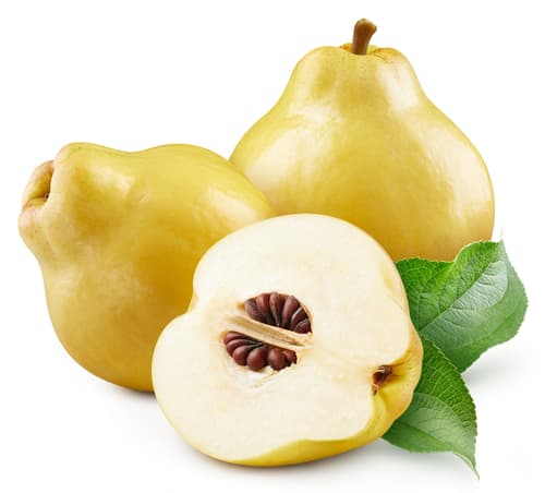 QUINCE