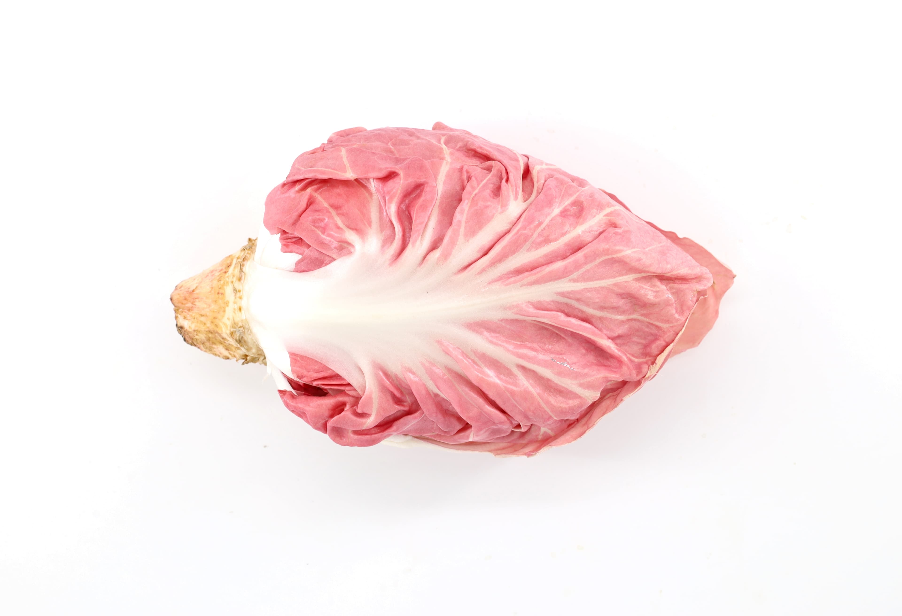 RADICCHIO PINK