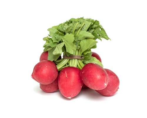 RADISH ROUND