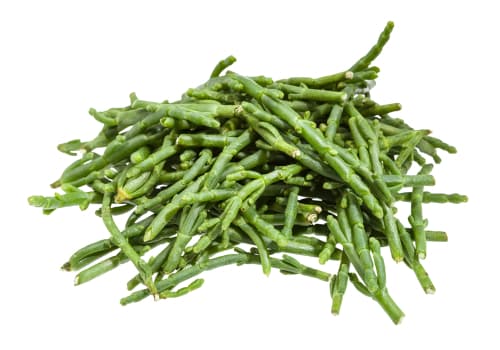 SAMPHIRE