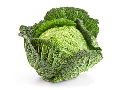CABBAGE SAVOY