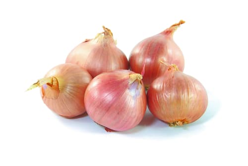 SHALLOTS ROUND