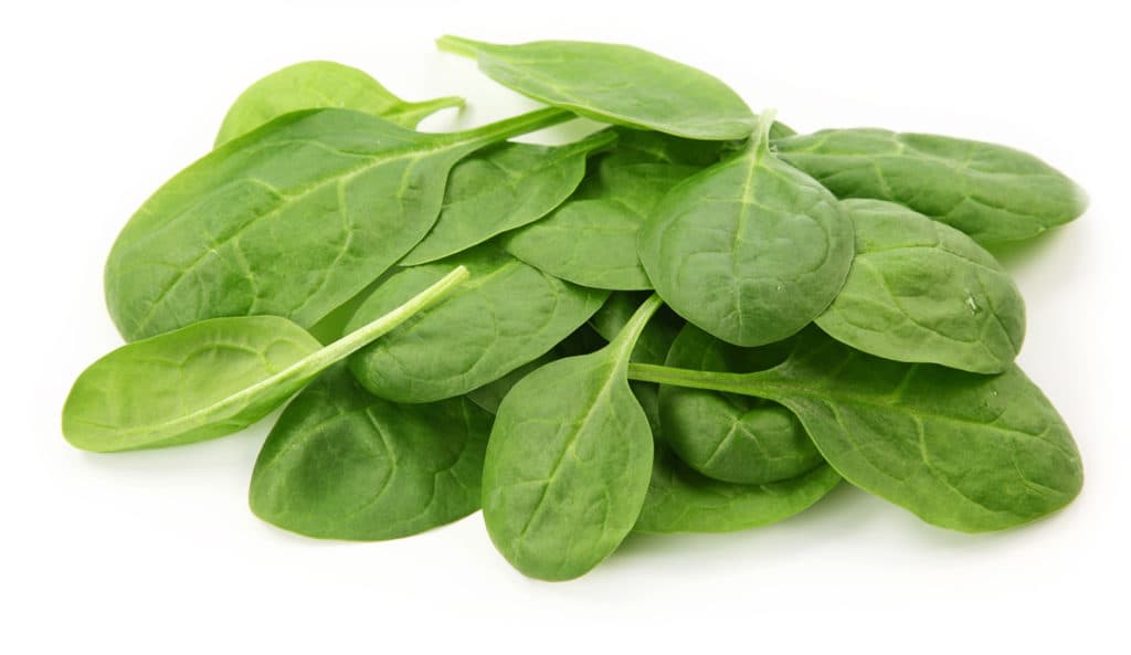 SPINACH