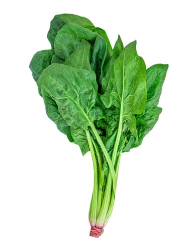SPINACH BUNCH