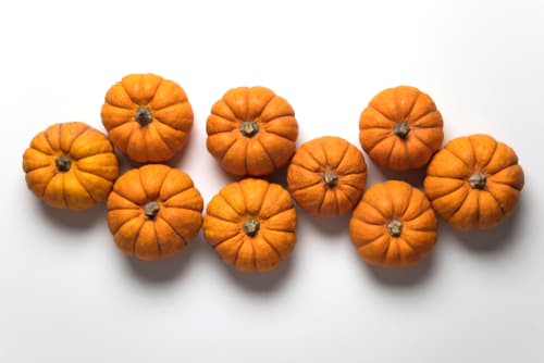 SQUASH MUNCHKIN (MINI)