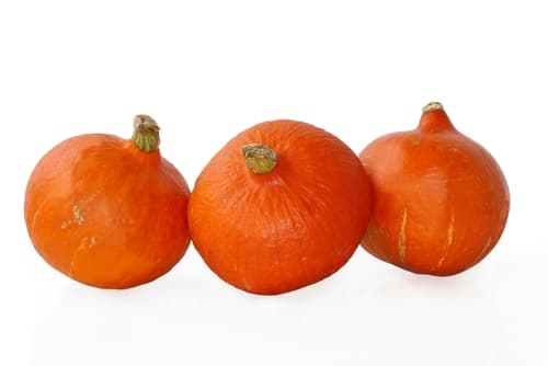 SQUASH ONION FRENCH (POTIMARRON)