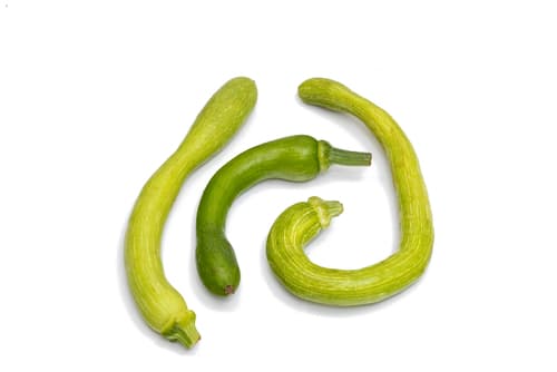 TENERUMI (CORGT TOPS)