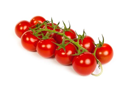 TOMATOES CHERRY VINE