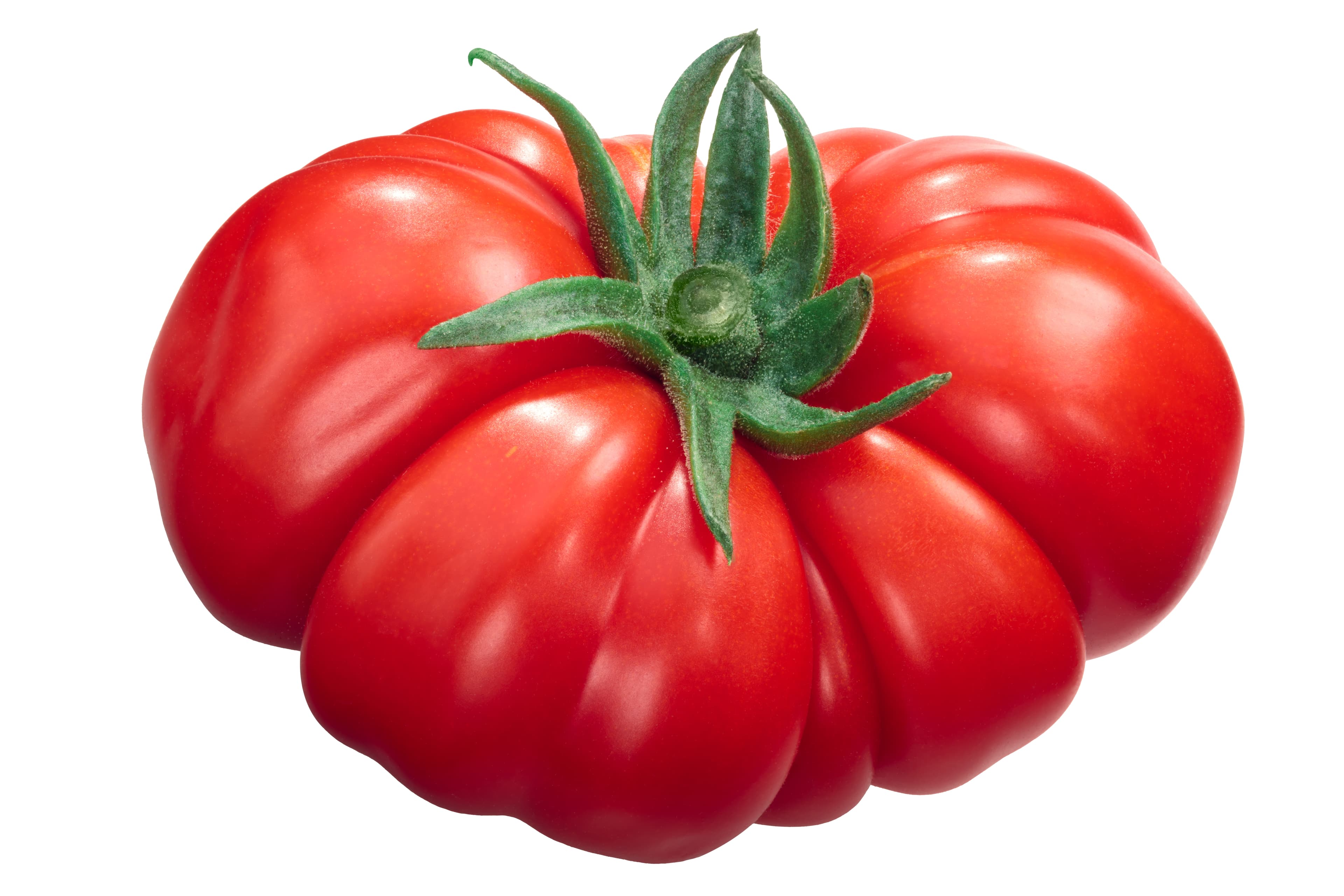TOMATO COSTOLUTO