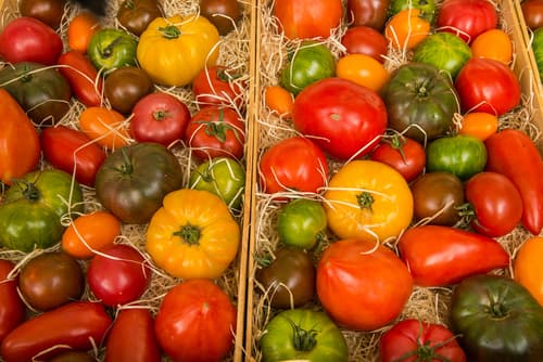 ISLE OF WIGHT HERITAGE