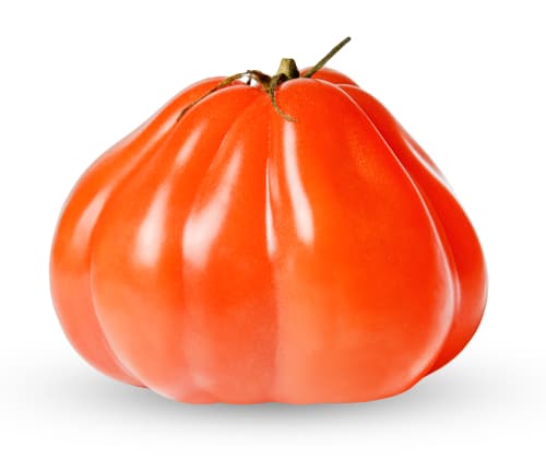 TOMATO OX HEART
