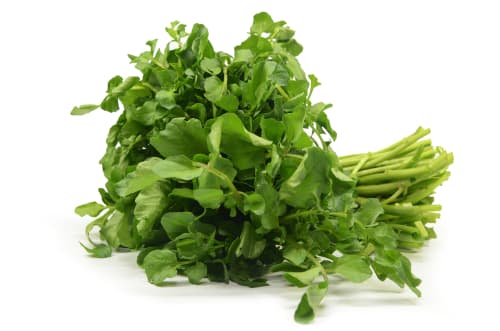 WATERCRESS